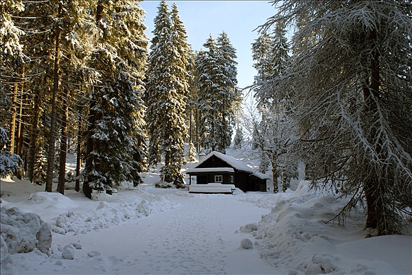 Foto:: Schneewanderung / Sachsengrund / 26.12.2008 (Foto,Fotos,Bilder,Bild,)