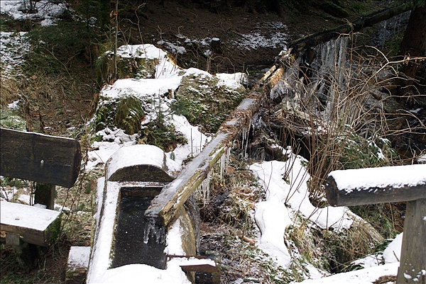 Foto:: Schneewanderung / Sachsengrund / 27.12.2009 (Foto,Fotos,Bilder,Bild,)