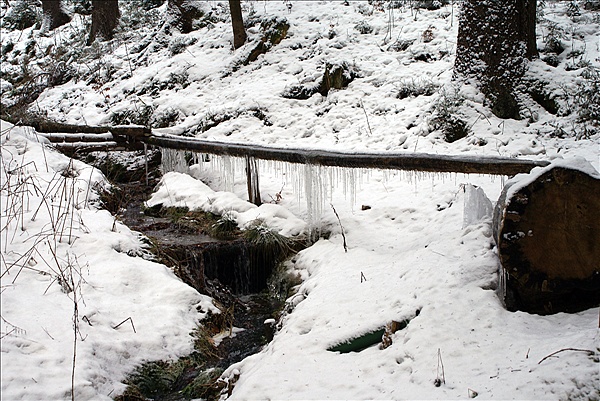 Foto:: Schneewanderung / Sachsengrund / 27.12.2009 (Foto,Fotos,Bilder,Bild,)