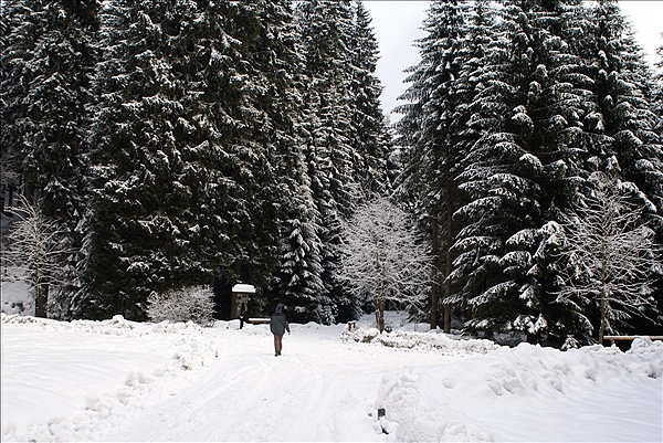 Foto:: Schneewanderung / Sachsengrund / 27.12.2009 (Foto,Fotos,Bilder,Bild,)