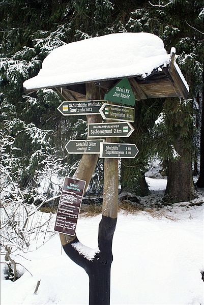 Foto:: Schneewanderung / Sachsengrund / 27.12.2009 (Foto,Fotos,Bilder,Bild,)