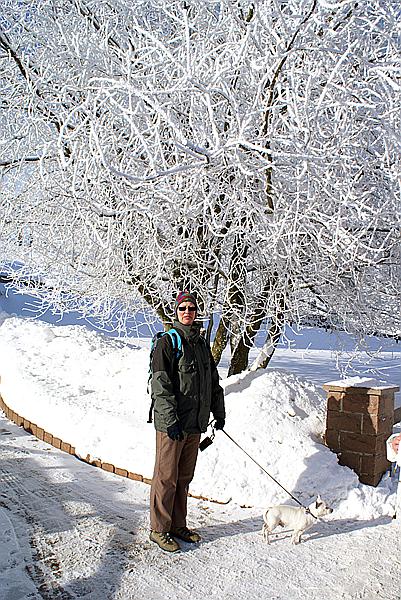 Foto:: Rundgang / Oberwiesenthal / 28.12.2008 (Foto,Fotos,Bilder,Bild,)