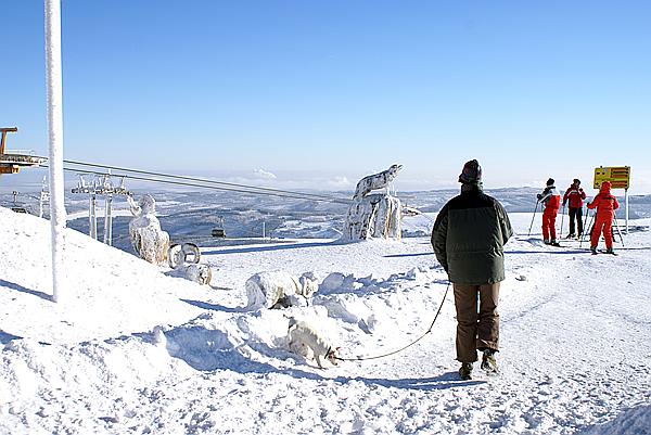 Foto:: Rundgang / Fichtelberg / 29.12.2008 (Foto,Fotos,Bilder,Bild,)