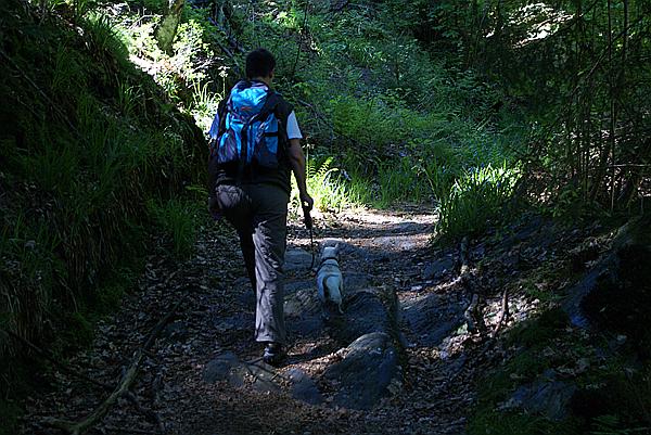 Foto:: Himmelfahrtsurlaub 2009 in der Eifel / Ascension Day vacation in the Eifel area 2009 (Foto,Fotos,Bilder,Bild,)