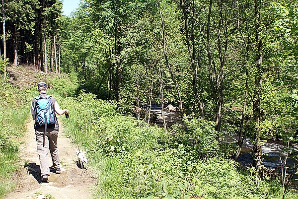 Foto:: Himmelfahrtsurlaub 2009 in der Eifel / Ascension Day vacation in the Eifel area 2009 (Foto,Fotos,Bilder,Bild,)
