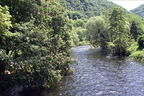 Foto:: Himmelfahrtsurlaub 2009 in der Eifel / Ascension Day vacation in the Eifel area 2009 (Foto,Fotos,Bilder,Bild,)