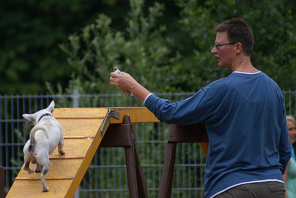 Foto:: Tag der Offenen Tuer im Tierheim Schwerte / 20.06.2009 (Foto,Fotos,Bilder,Bild,)