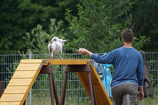 Foto:: Tag der Offenen Tuer im Tierheim Schwerte / 20.06.2009 (Foto,Fotos,Bilder,Bild,)