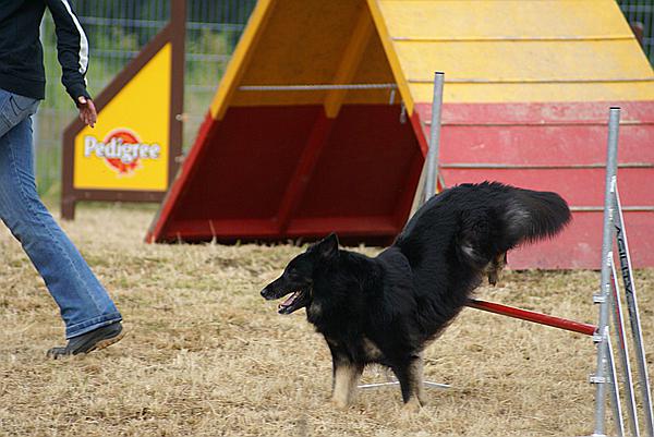 Foto:: Tag der Offenen Tuer im Tierheim Schwerte / 20.06.2009 (Foto,Fotos,Bilder,Bild,)