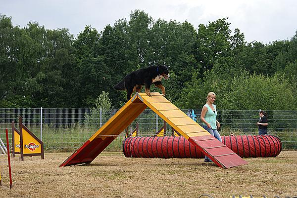 Foto:: Tag der Offenen Tuer im Tierheim Schwerte / 20.06.2009 (Foto,Fotos,Bilder,Bild,)