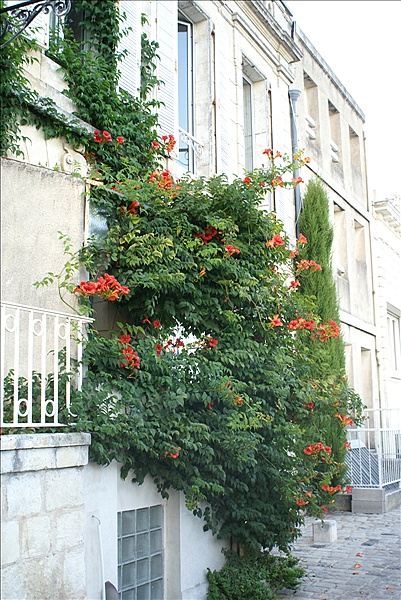 Foto:: Sommerurlaub 2009 / Summer vacation 2009 (Foto,Fotos,Bilder,Bild,)