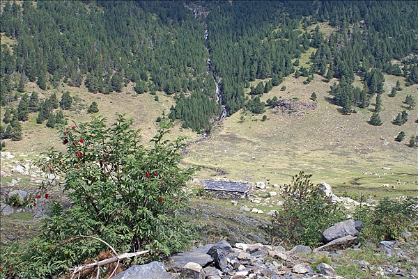 Foto:: Sommer Urlaub 2009 / Summer vacation 2009 (Foto,Fotos,Bilder,Bild,)