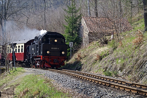 Foto:: DR 99 6001-4 / Maegdesprung / 24.04.2010 (Foto,Fotos,Bilder,Bild,)