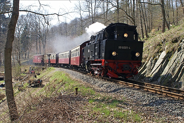 Foto:: DR 99 6001-4 / Maegdesprung / 24.04.2010 (Foto,Fotos,Bilder,Bild,)