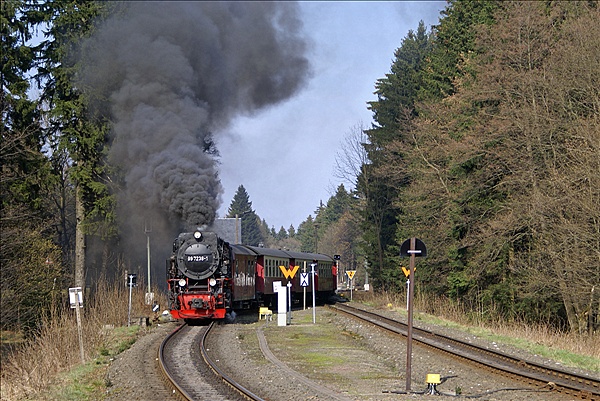 Foto:: DR 99 7238-1 / Drei Annen Hohne / 24.04.2010 (Foto,Fotos,Bilder,Bild,)