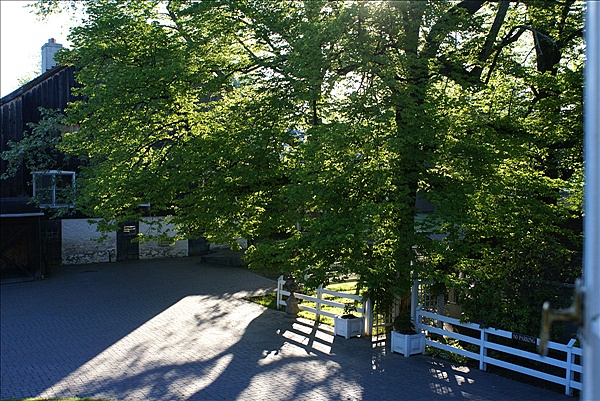 Foto:: Barley Sheaf Farm / Holicong, PA, / 05.05.2011 (Foto,Fotos,Bilder,Bild,)
