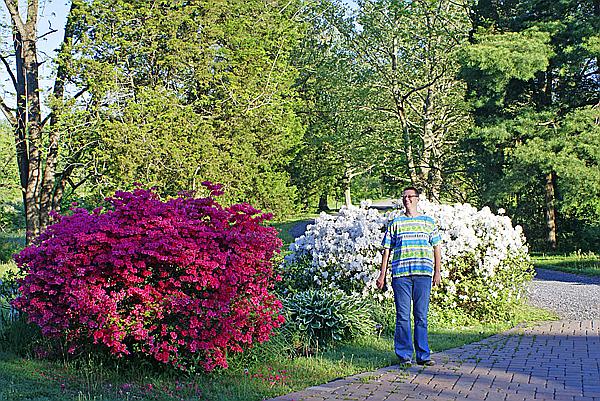 Foto:: Barley Sheaf Farm / Holicong, PA, / 05.05.2011 (Foto,Fotos,Bilder,Bild,)