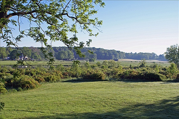 Foto:: Barley Sheaf Farm / Holicong, PA, / 05.05.2011 (Foto,Fotos,Bilder,Bild,)