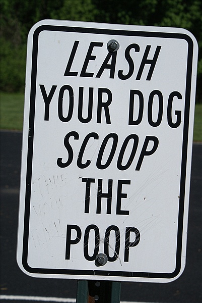 Foto:: Chalfont, PA / 05.05.2010 (Foto,Fotos,Bilder,Bild,)