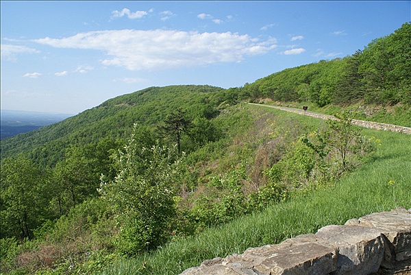 Foto:: Shenandoah National Park / Luray, VA / 05.05.2010 (Foto,Fotos,Bilder,Bild,)