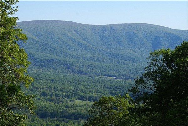 Foto:: Shenandoah National Park / Luray, VA / 05.05.2010 (Foto,Fotos,Bilder,Bild,)