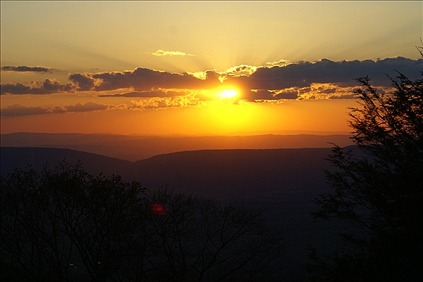 Foto:: Shenandoah National Park / Luray, VA / 05.05.2010 (Foto,Fotos,Bilder,Bild,)