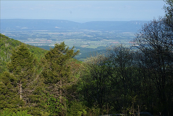 Foto:: Shenandoah National Park / Luray, VA / 06.05.2010 (Foto,Fotos,Bilder,Bild,)