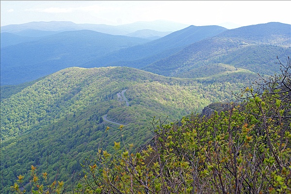 Foto:: Shenandoah National Park / Luray, VA / 06.05.2010 (Foto,Fotos,Bilder,Bild,)