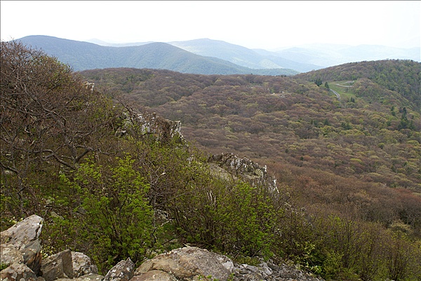 Foto:: Shenandoah National Park / Luray, VA / 06.05.2010 (Foto,Fotos,Bilder,Bild,)