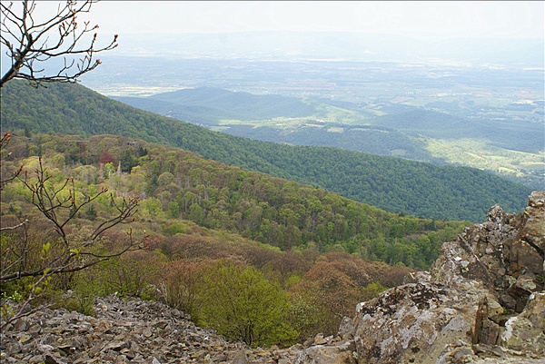 Foto:: Shenandoah National Park / Luray, VA / 06.05.2010 (Foto,Fotos,Bilder,Bild,)