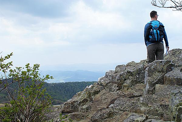 Foto:: Shenandoah National Park / Luray, VA / 06.05.2010 (Foto,Fotos,Bilder,Bild,)