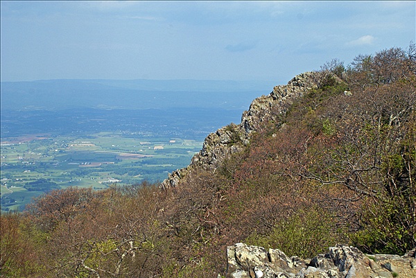 Foto:: Shenandoah National Park / Luray, VA / 06.05.2010 (Foto,Fotos,Bilder,Bild,)