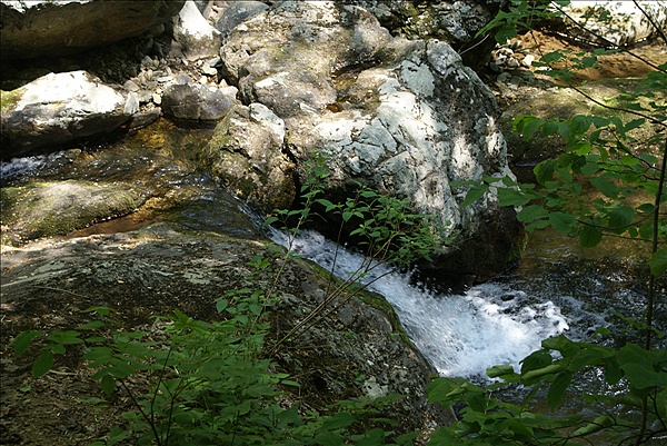 Foto:: Shenandoah National Park / Luray, VA / 06.05.2010 (Foto,Fotos,Bilder,Bild,)