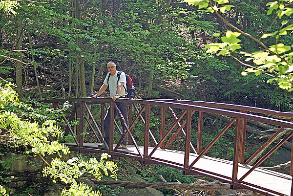 Foto:: Shenandoah National Park / Luray, VA / 06.05.2010 (Foto,Fotos,Bilder,Bild,)