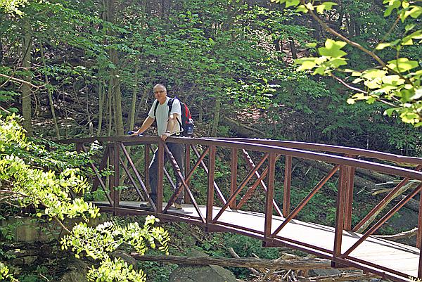 Foto:: Shenandoah National Park / Luray, VA / 06.05.2010 (Foto,Fotos,Bilder,Bild,)