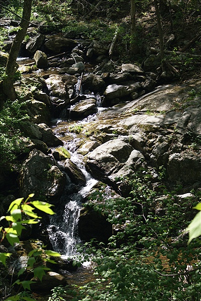 Foto:: Shenandoah National Park / Luray, VA / 06.05.2010 (Foto,Fotos,Bilder,Bild,)