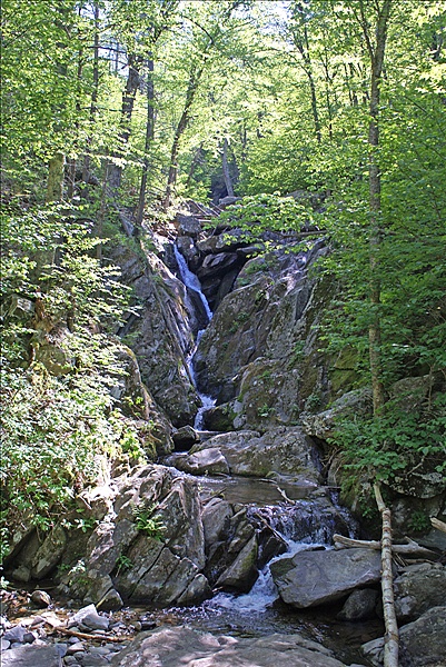 Foto:: Shenandoah National Park / Luray, VA / 06.05.2010 (Foto,Fotos,Bilder,Bild,)