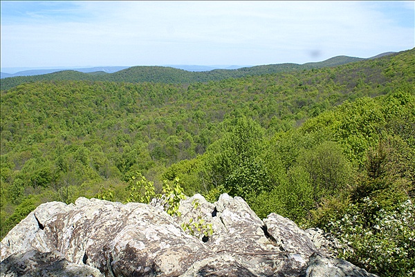 Foto:: Shenandoah National Park / Luray, VA / 07.05.2010 (Foto,Fotos,Bilder,Bild,)