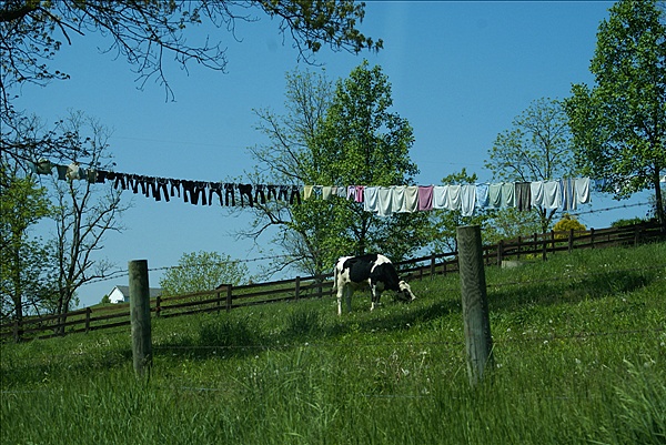 Foto:: Reisen / USA / Sommer 2010 (Foto,Fotos,Bilder,Bild,)