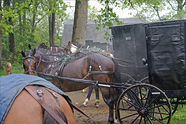 Foto:: Reisen / USA / Sommer 2010 (Foto,Fotos,Bilder,Bild,)