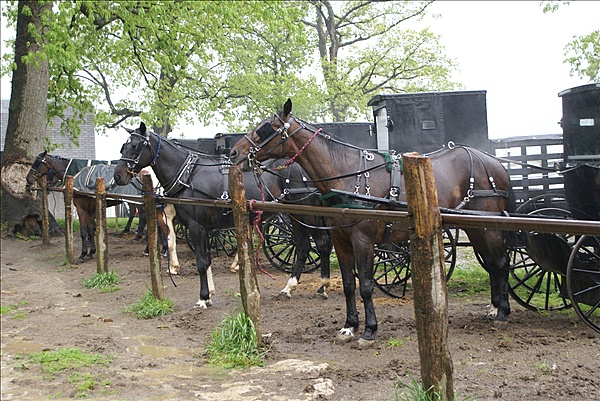 Foto:: Reisen / USA / Sommer 2010 (Foto,Fotos,Bilder,Bild,)