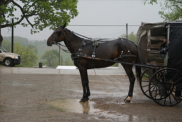 Foto:: Reisen / USA / Sommer 2010 (Foto,Fotos,Bilder,Bild,)