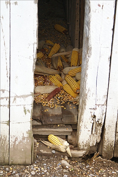 Foto:: Reisen / USA / Sommer 2010 (Foto,Fotos,Bilder,Bild,)