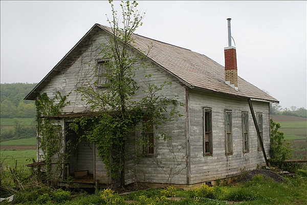 Foto:: Reisen / USA / Sommer 2010 (Foto,Fotos,Bilder,Bild,)