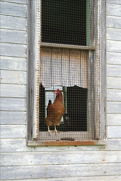 Foto:: Reisen / USA / Sommer 2010 (Foto,Fotos,Bilder,Bild,)