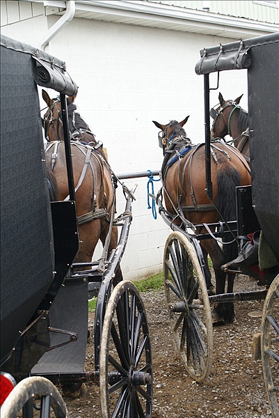 Foto:: Reisen / USA / Sommer 2010 (Foto,Fotos,Bilder,Bild,)