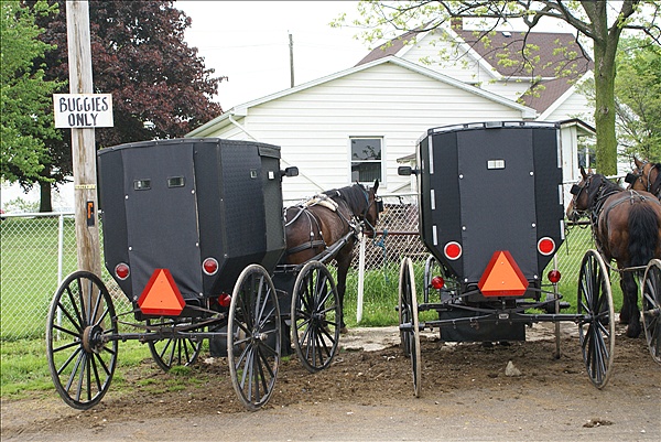 Foto:: Reisen / USA / Sommer 2010 (Foto,Fotos,Bilder,Bild,)