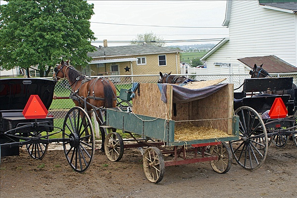 Foto:: Reisen / USA / Sommer 2010 (Foto,Fotos,Bilder,Bild,)