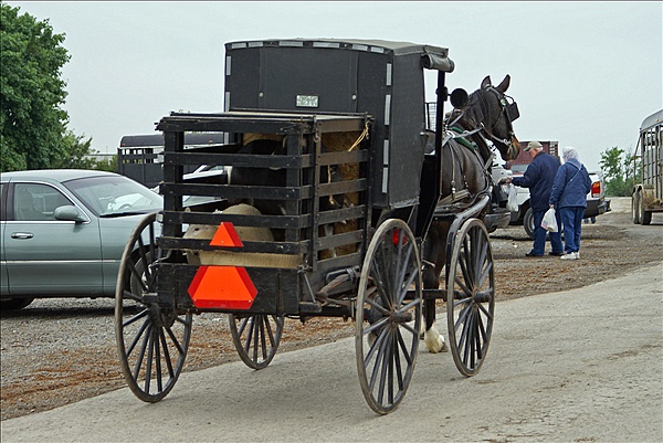 Foto:: Reisen / USA / Sommer 2010 (Foto,Fotos,Bilder,Bild,)