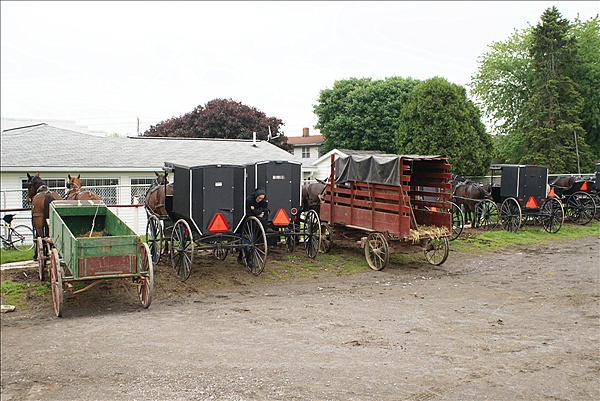 Foto:: Reisen / USA / Sommer 2010 (Foto,Fotos,Bilder,Bild,)